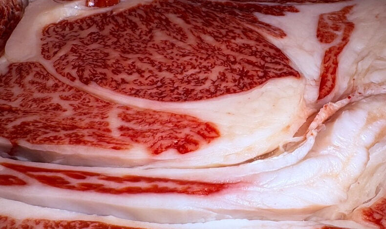 画像2096：シルバーウィーク前に競り落とせました！